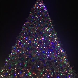 Meet your Posher, Maribel